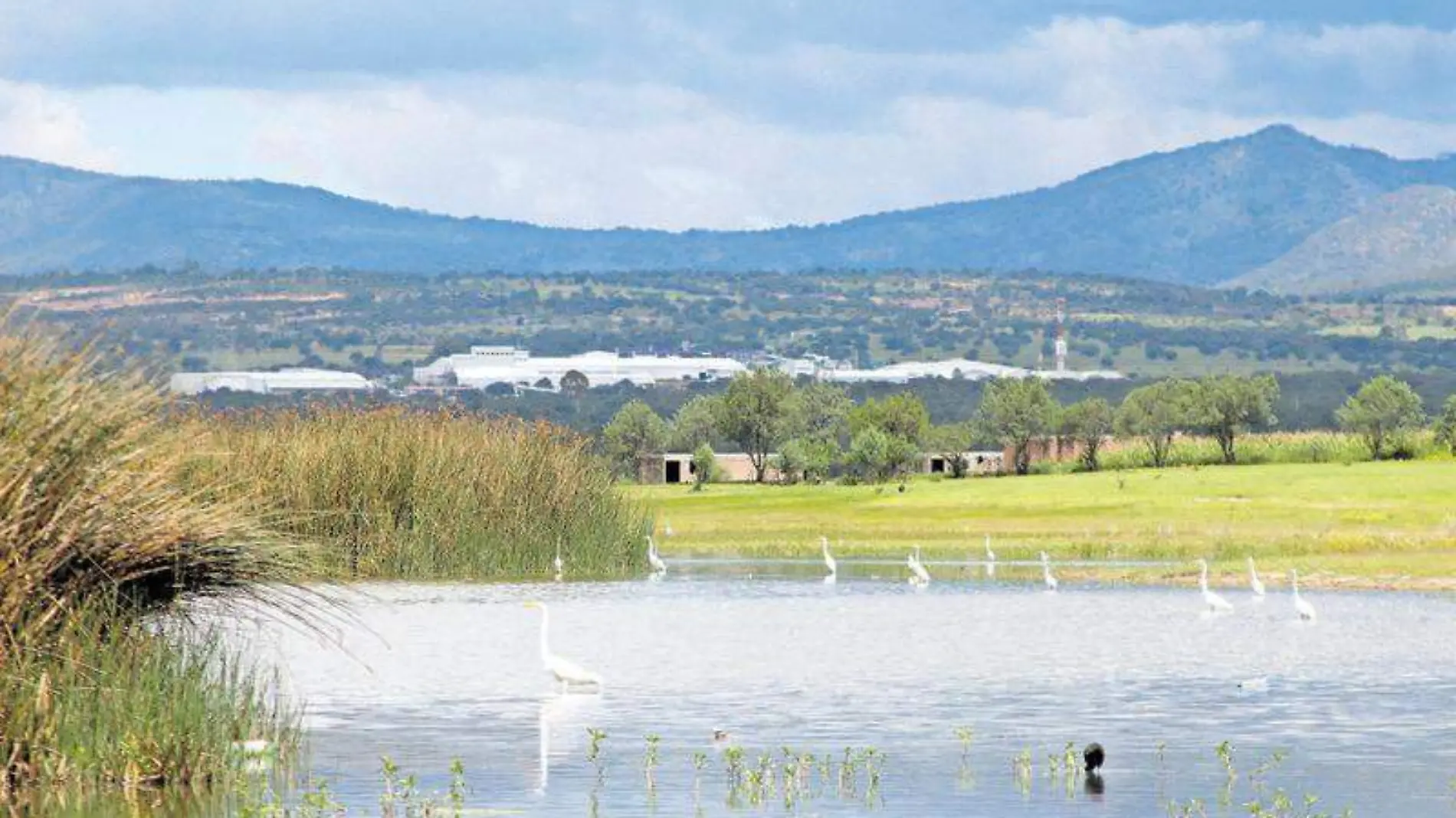 Presa de atlangatepec